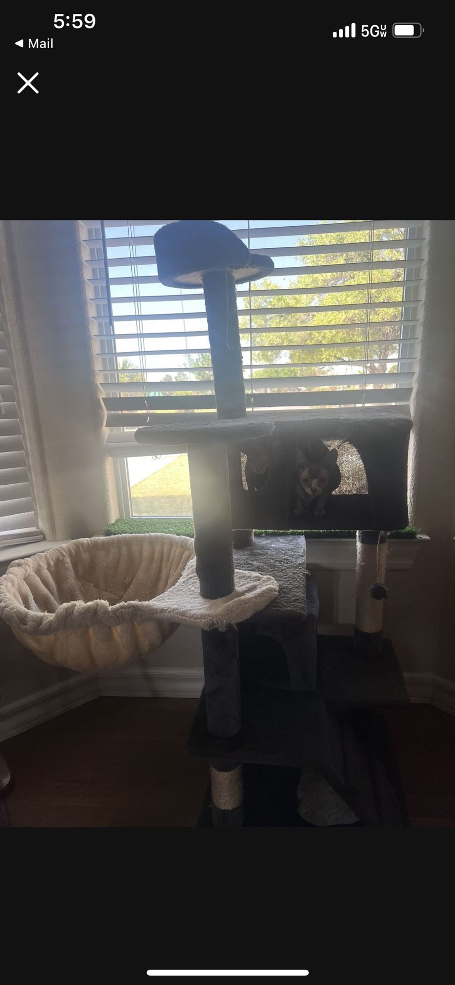 Sphynx Cat Tree
