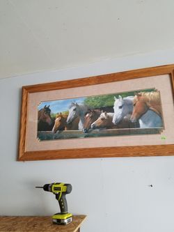 Horse picture