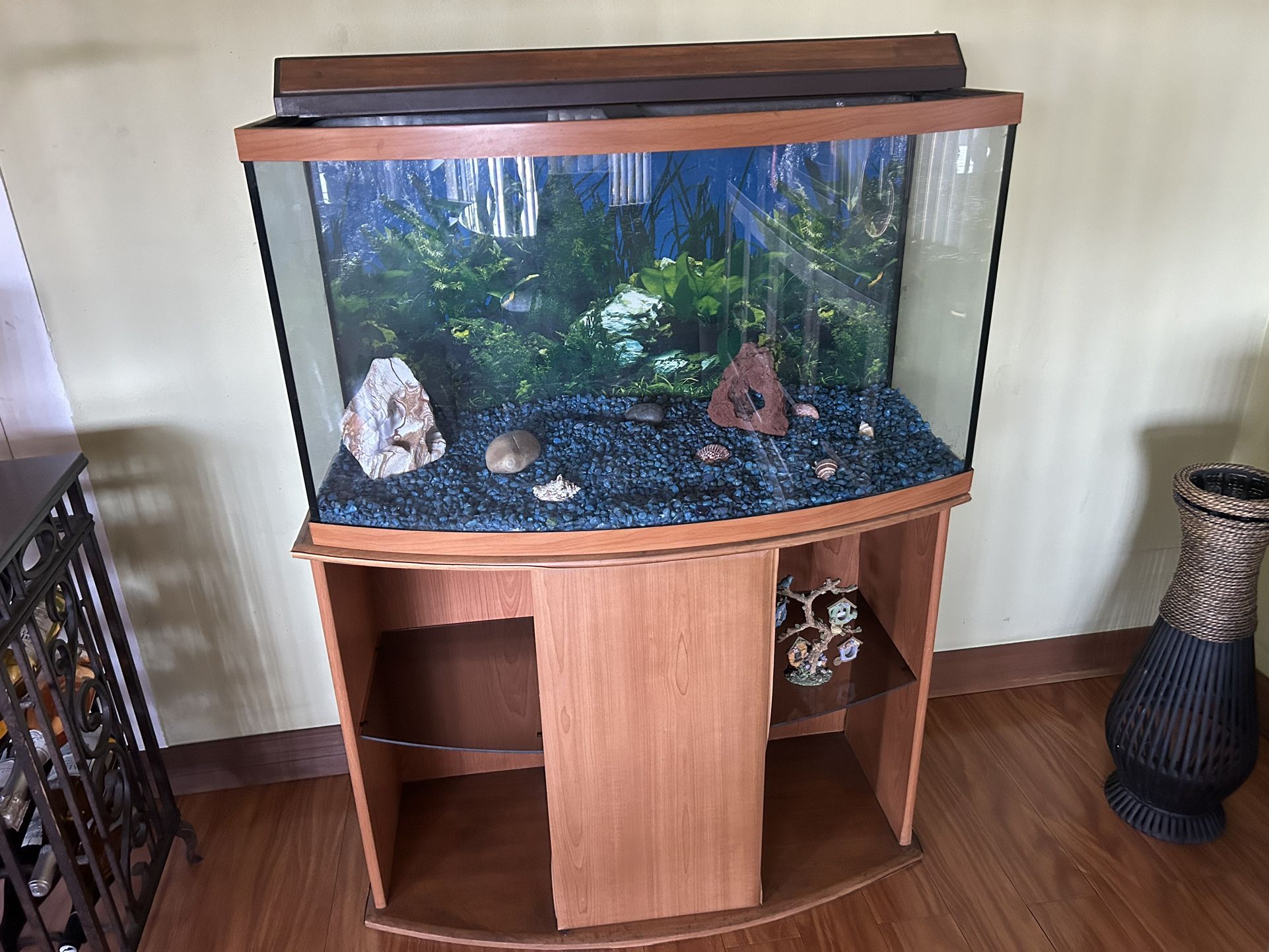 Fish Tank