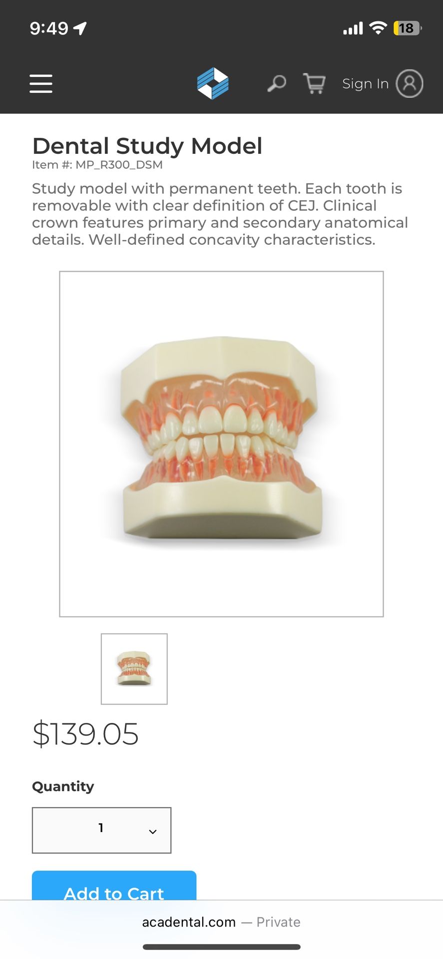 Dental Anatomy Model