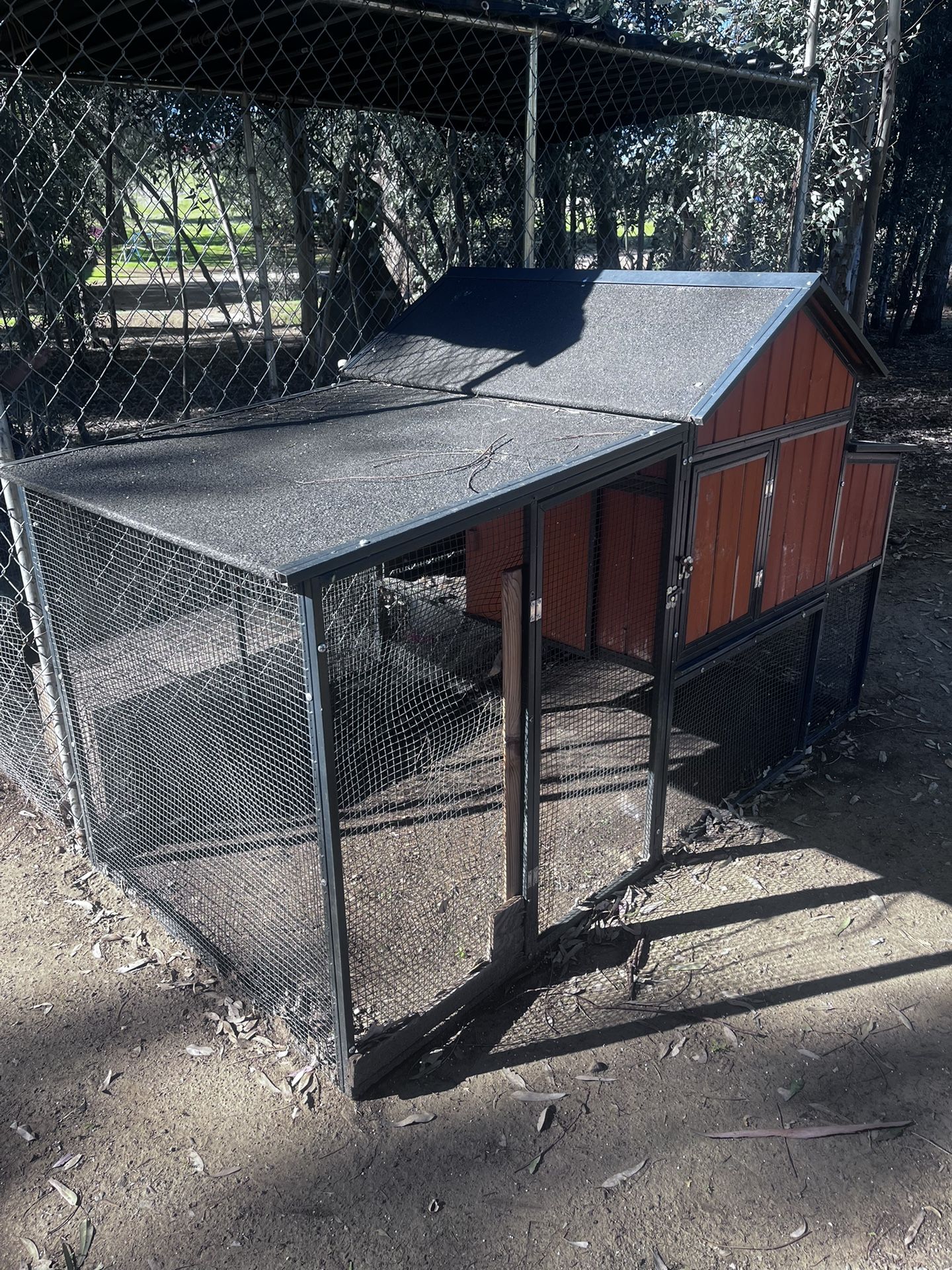 Chicken Coop 
