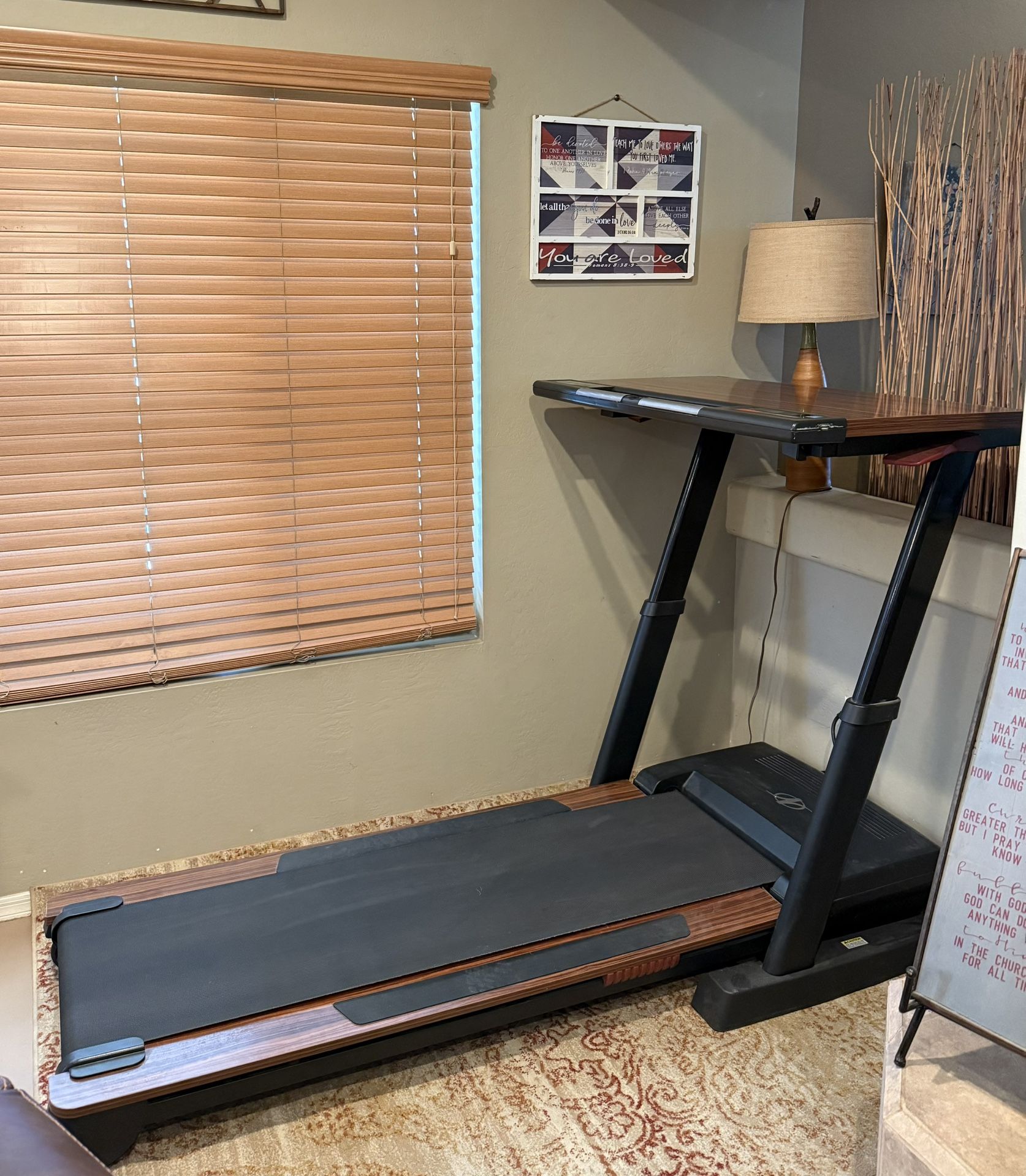 Nordictrack Standing Desk Treadmill