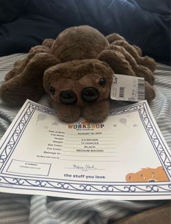 Build a bear spider