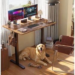 Adjustable Standing Desk Like New