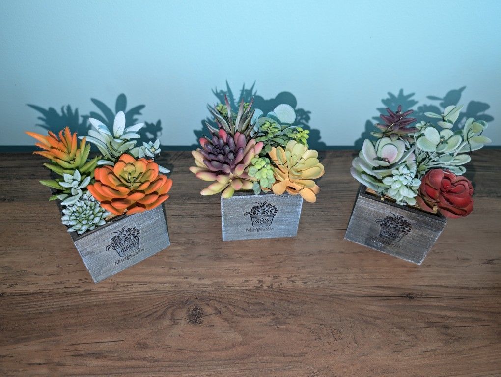 🪻 🪷🌿 Artificial Succulents Decor With LED Lights 3pk 🪴☘️