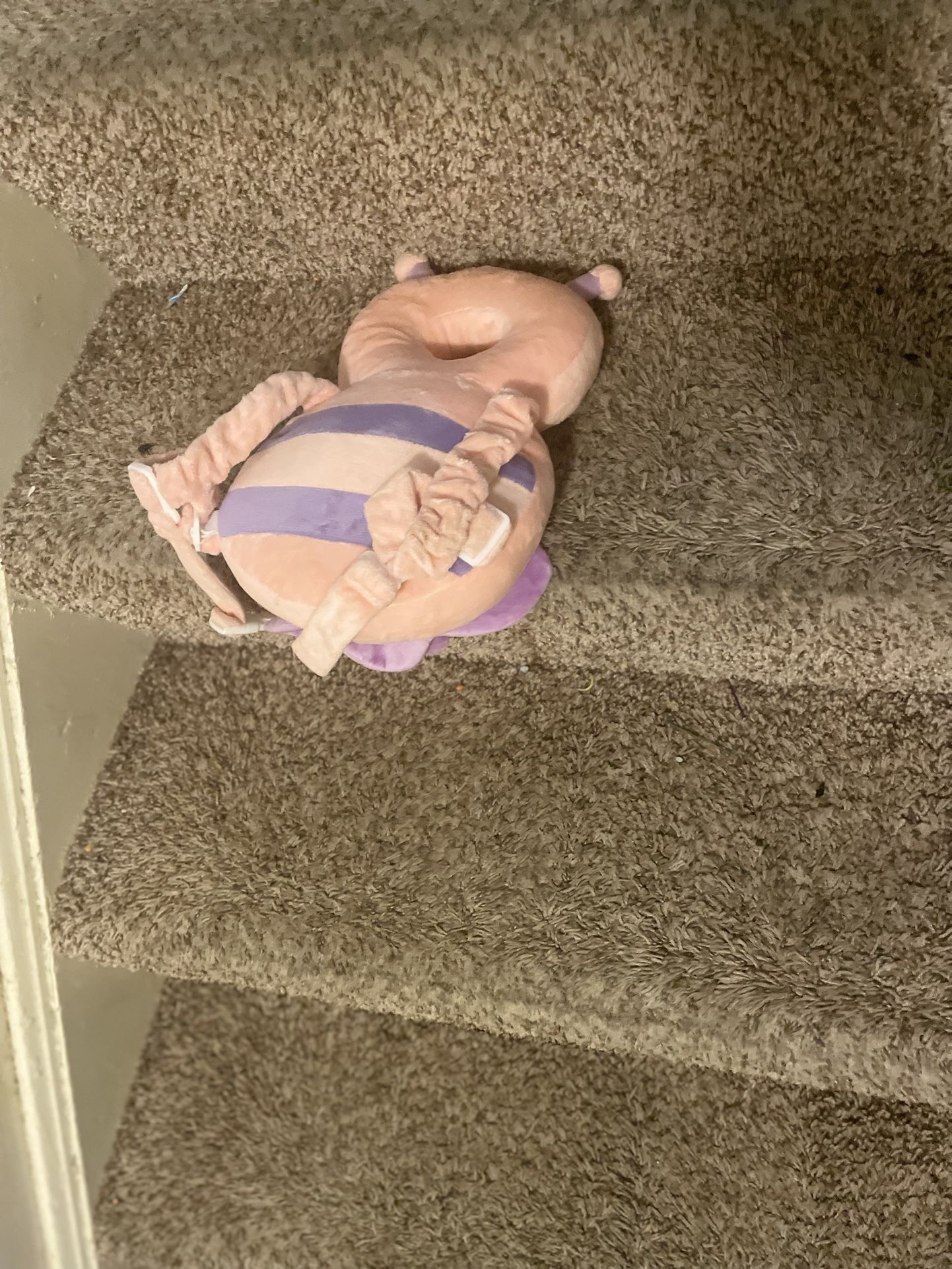 Baby Backpack with Head Protector 