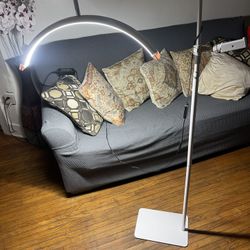 Half Moon Content Lamp With Cell Holder $50