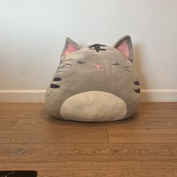 Cat Squishmallow 24”