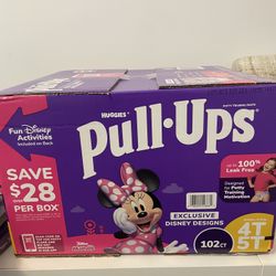Pull Ups 4T-5T 102 Count $30
