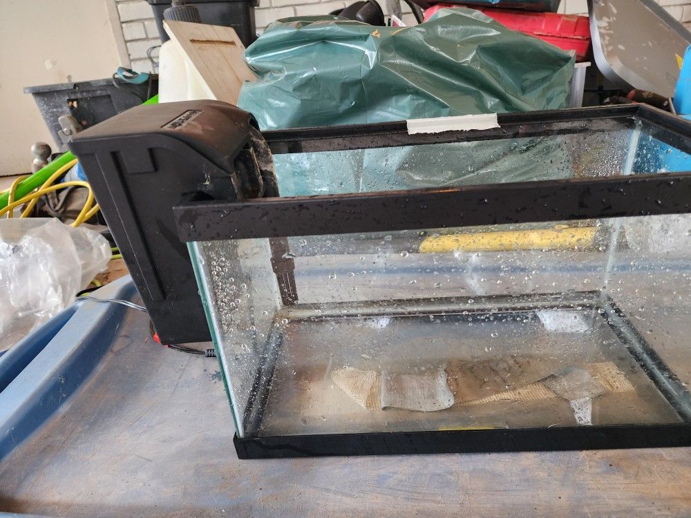 5 Gallon Fish Tank With Filter