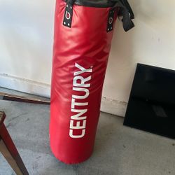Punching Bag and Speed Bag 
