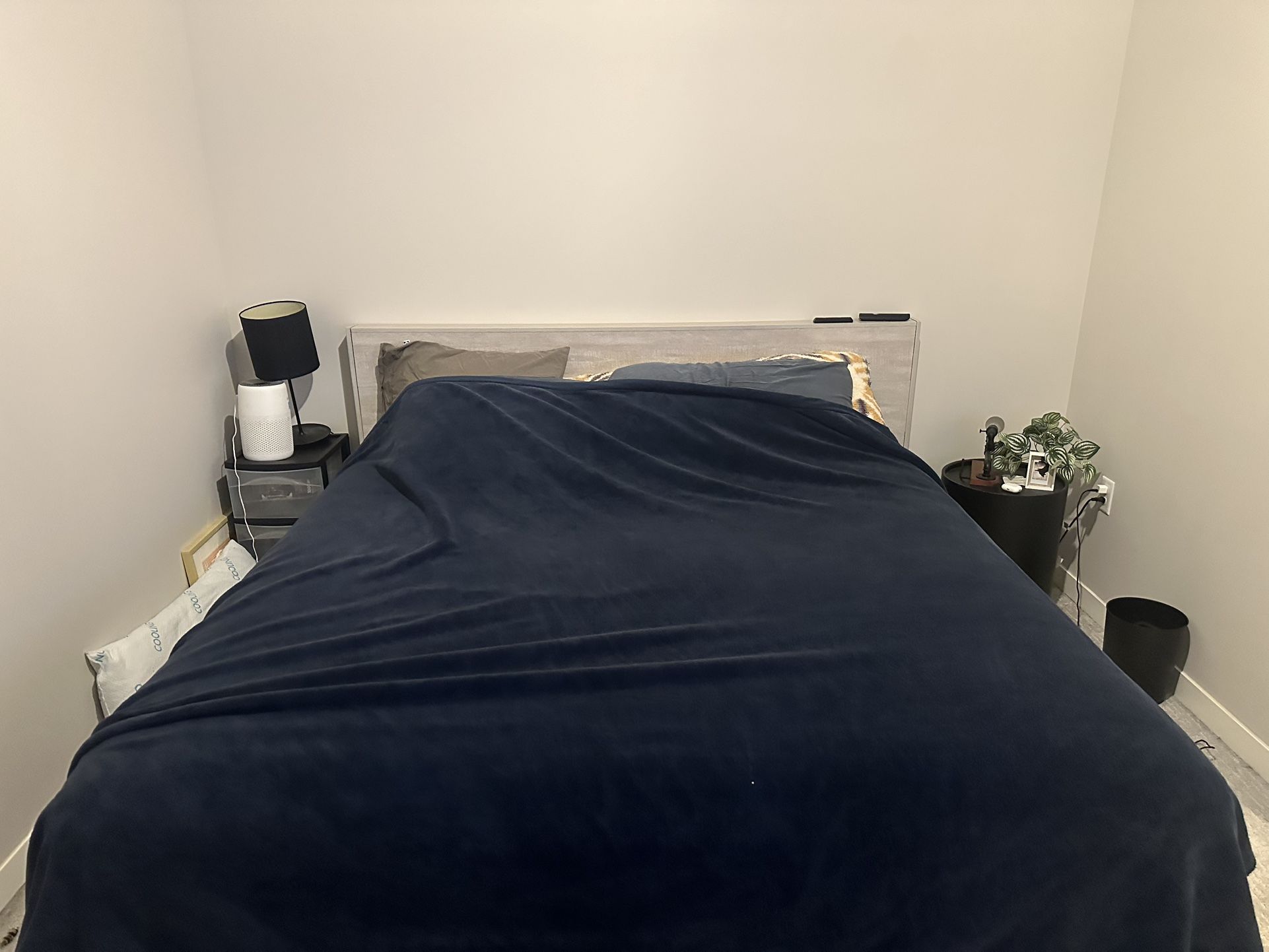 King Koil king Bed