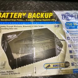 Sistema De Respaldo Tripp Lite 750