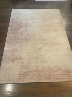 Area rug 4 x 6 beige and machine washable in good condition