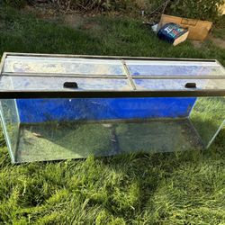 50 Gallon Fish Tank With Lid