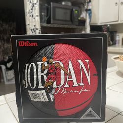 Michael Jordan Wilson Youth Basketball