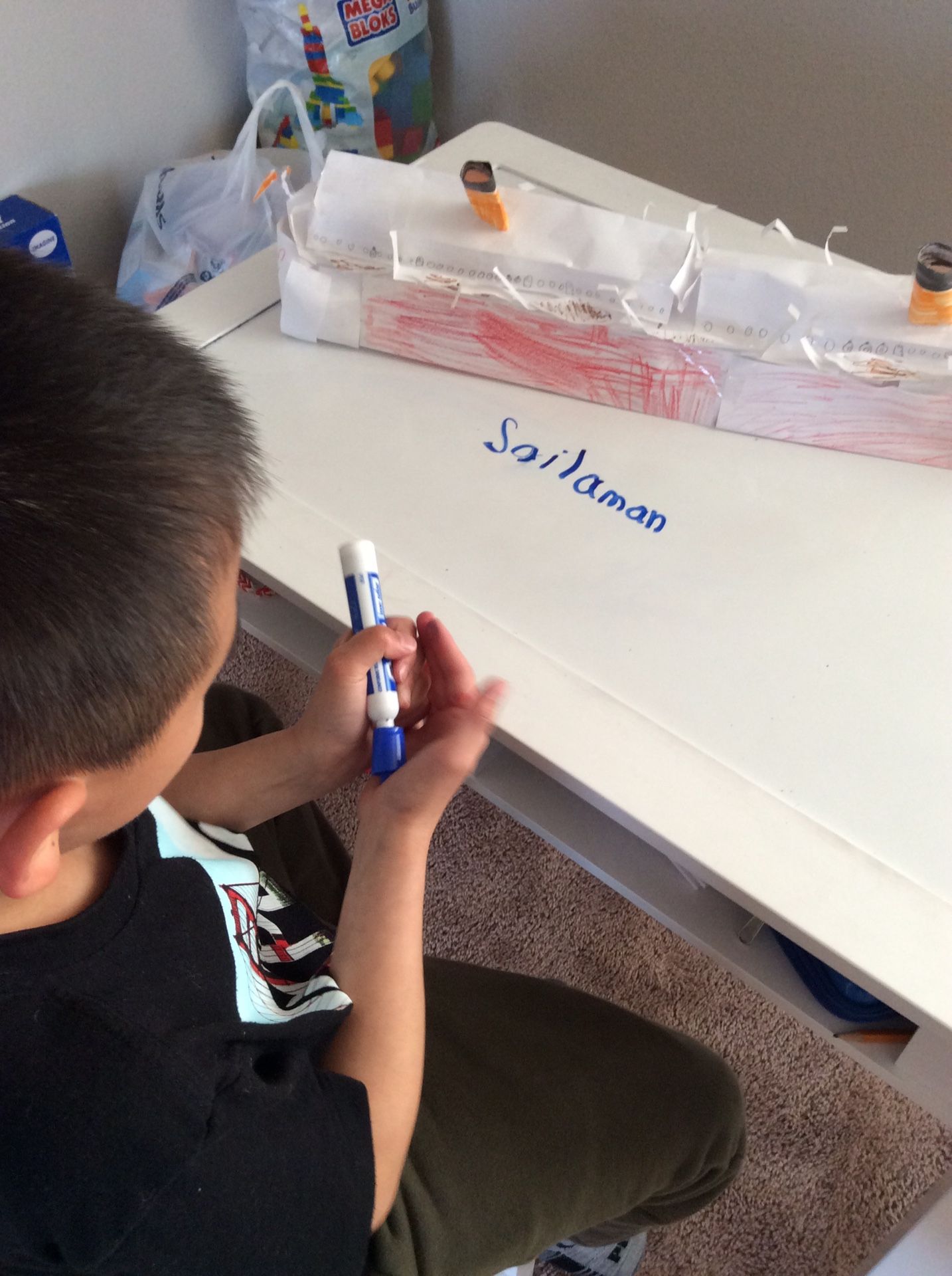 Cruise Ship / Ocean Liner