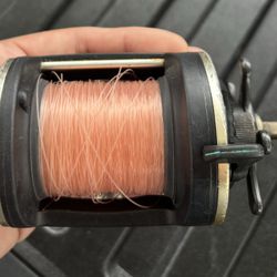 Daiwa Sealine 30 