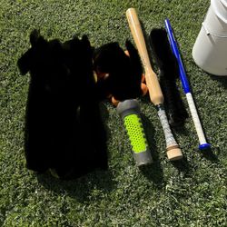 Softball baseball Equip. Cam Wood Bat, Balls