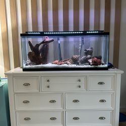 50 gallons - Freshwater Fish tank 