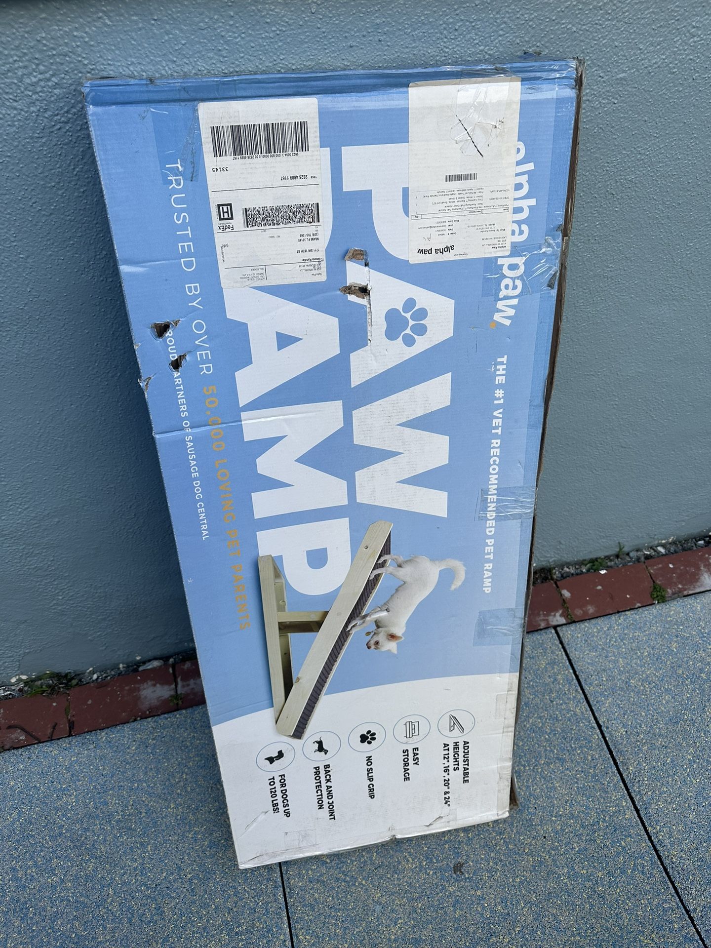 Paw ramp