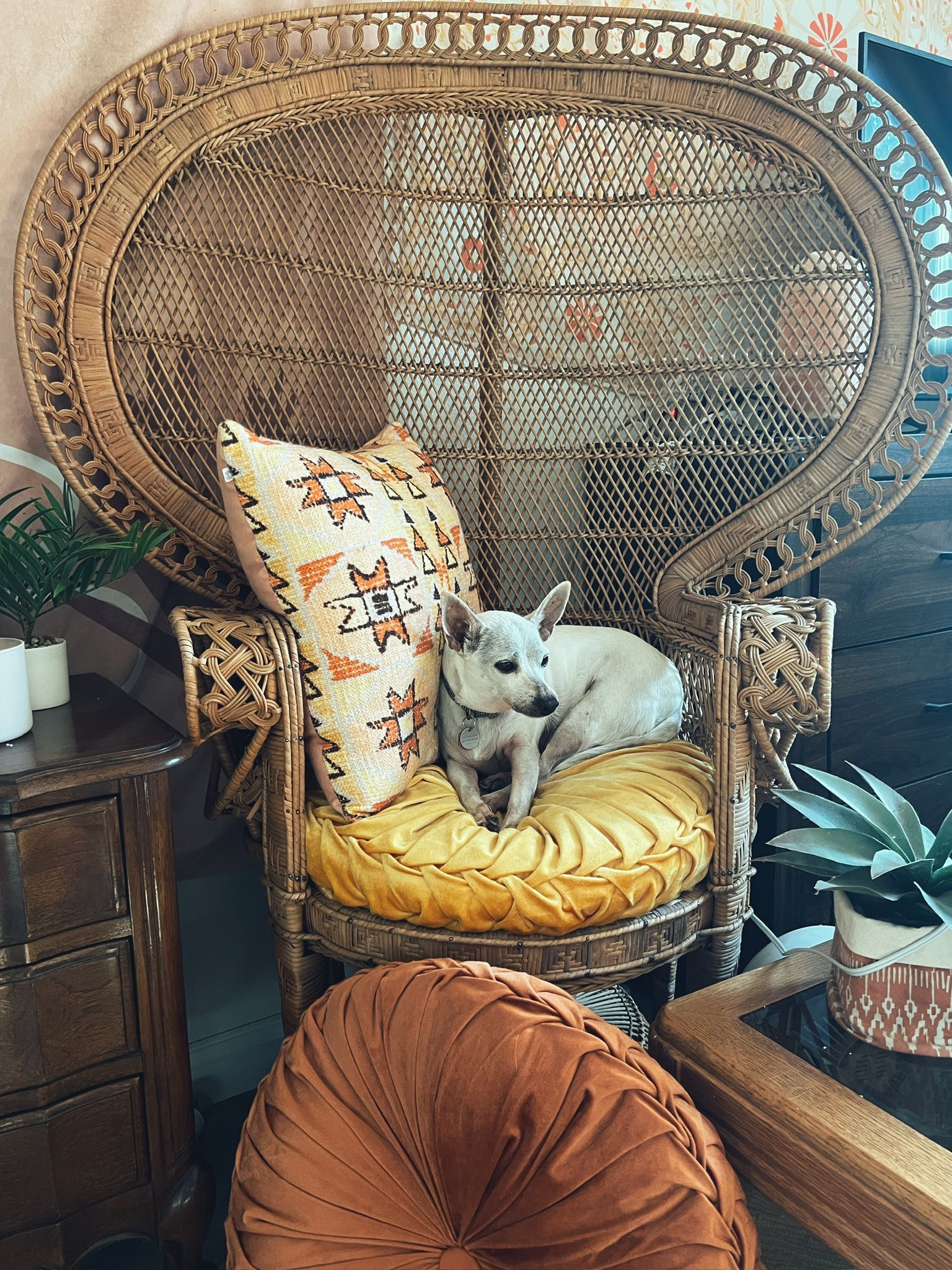 Boho Vintage Peacock Chair 