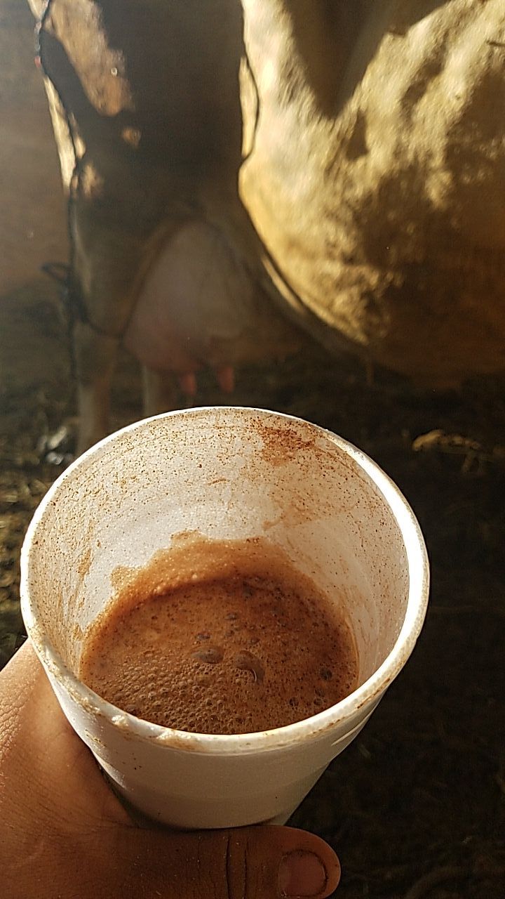 Sabado y domingo
