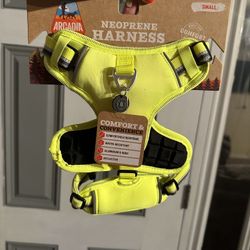 Small Dog Lot This *Sunday Pick Up SALE! 10/8