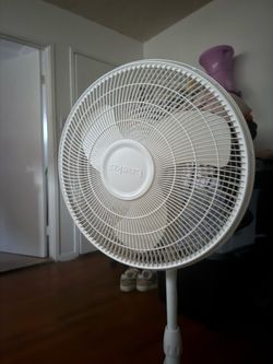 Fan and heater