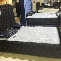 OM• $38 Initial • Brand New Bed Frame 