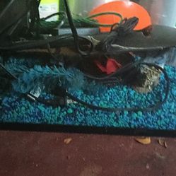 Fresh Water Aquarium 