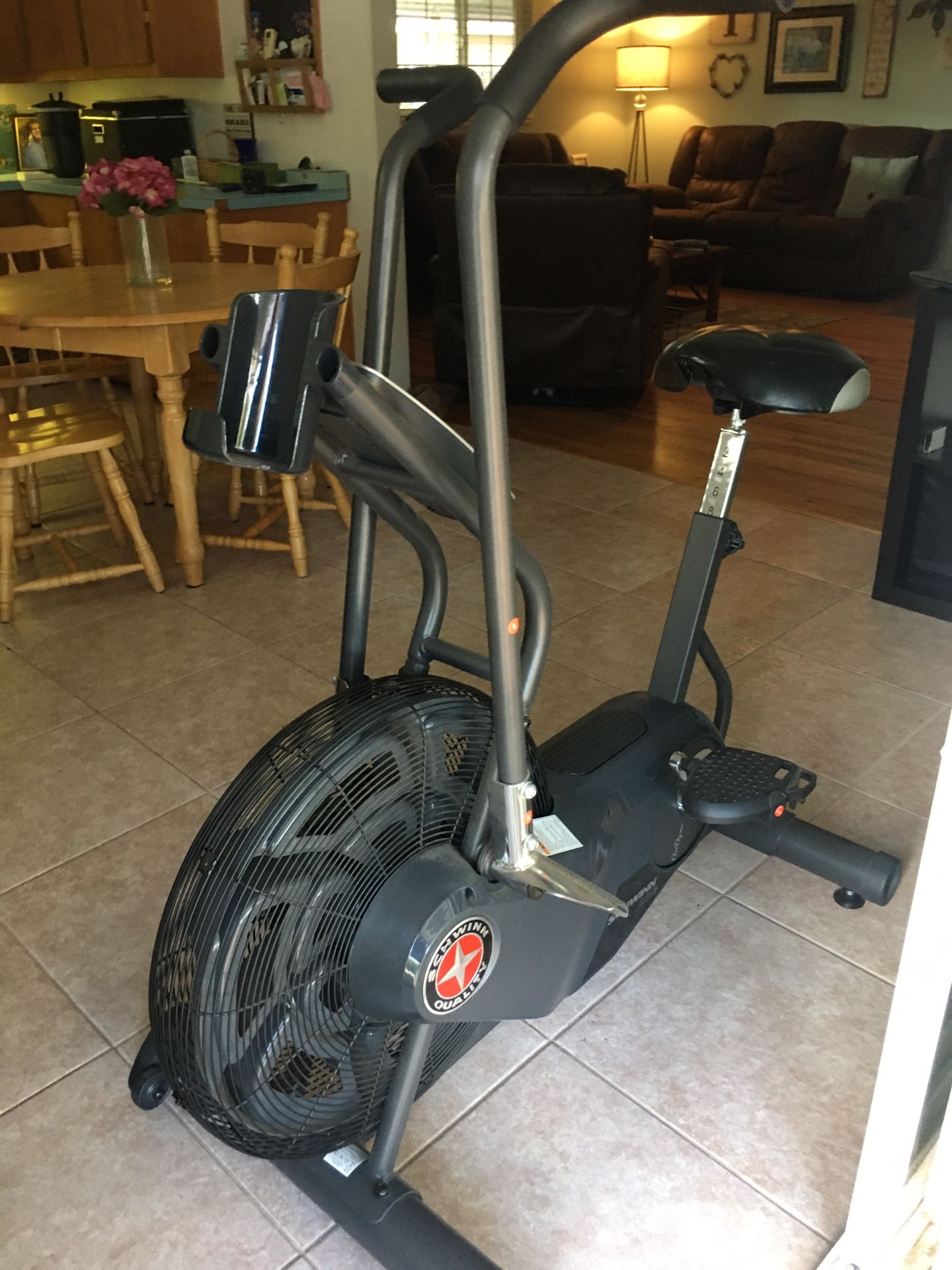 Schwinn AD6 Airdyne