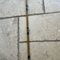 Pacifica Graphite Fishing Rod 