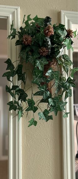 Green ivy leaves in wicker cone