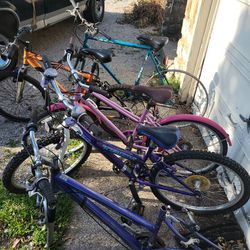 Bunch Of Good Bikes In Need Of Some Tlc