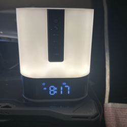 Mini Speakers