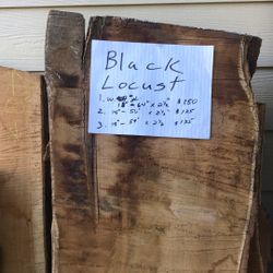  Black Locust 