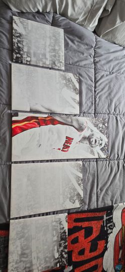 Dwayne Wade Canvas Print