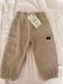 Zara pants