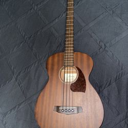 Ibanez 4-string Acoustic Guitar 