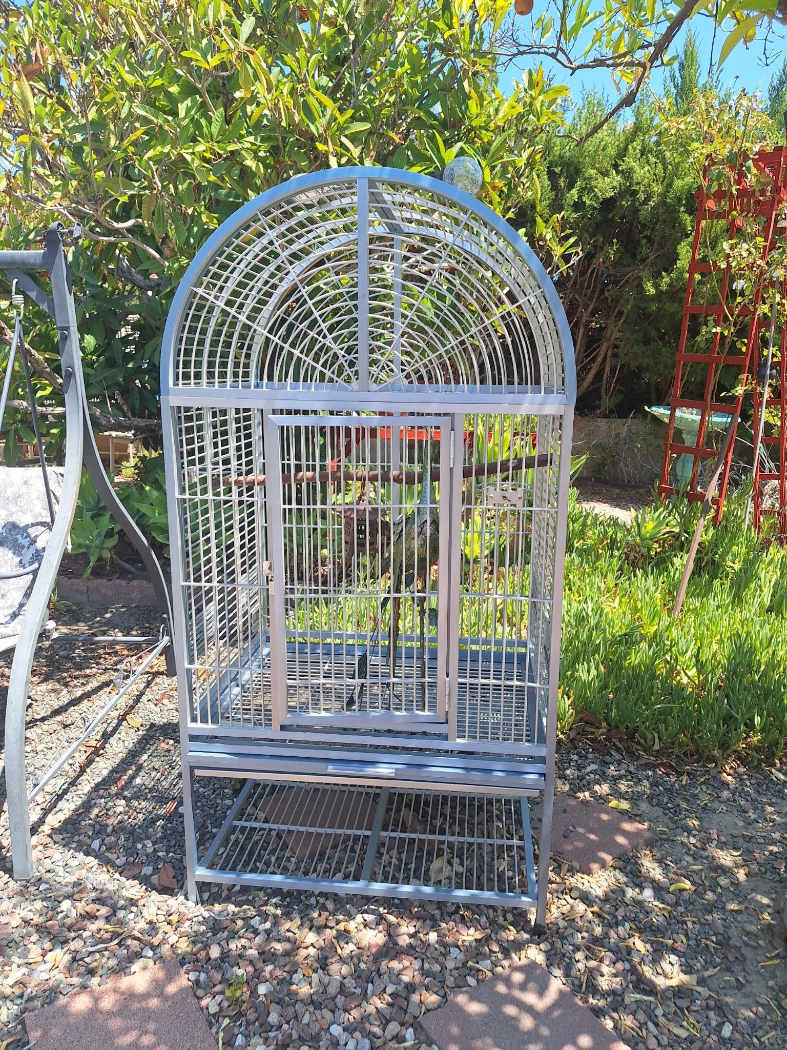 Bird Cages