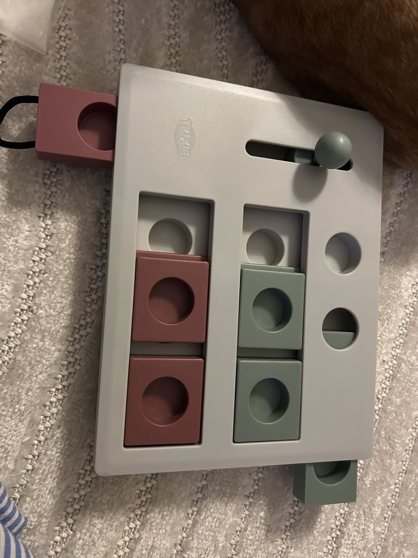 Cats And Dogs-Brain mover