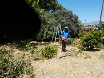 Lawn worxs for sale....🏡