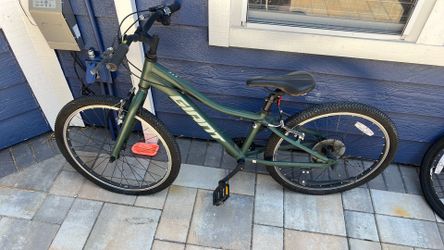 Small green bike