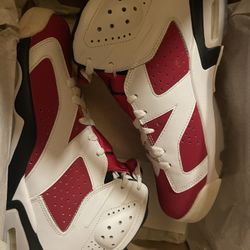 DS Retro Jordan 6 Carmine Size 8