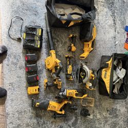 Dewalt Tool Set