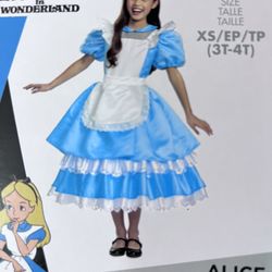 Alice In Wonderland Costume
