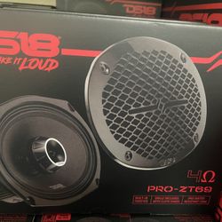 DS18 PRO ZT 6x9 $180 PAIR / $99 EACH