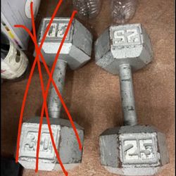 25, Lb Dumbbell 