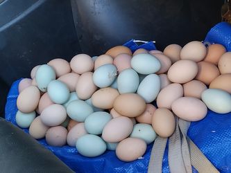 12 Eggs For 6